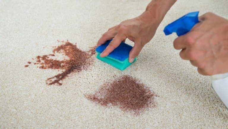 Remove Carpet Stains