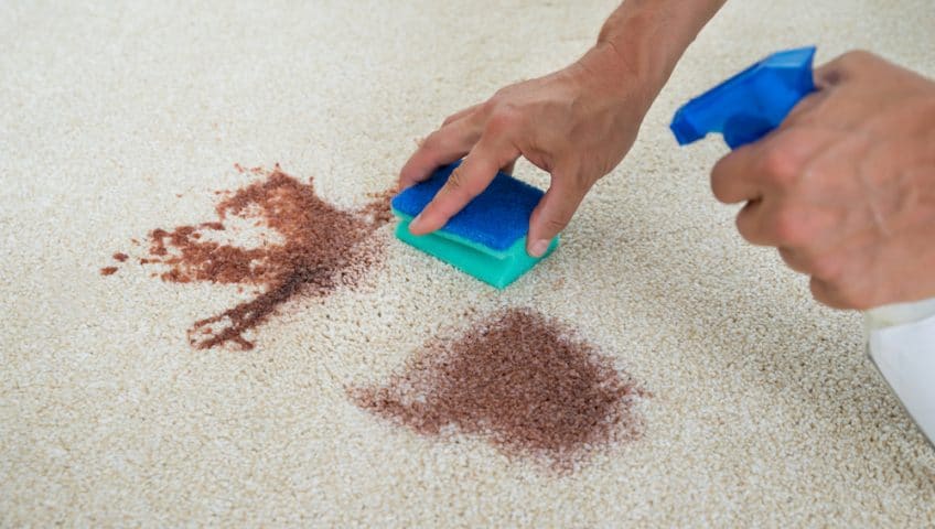 Remove Carpet Stains